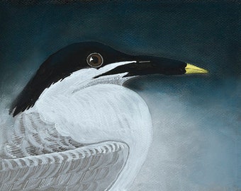 Sandwich Tern peinture, imprimable en téléchargement numérique