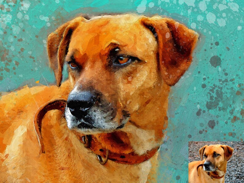 Digital custom dog portrait Dog remembrance gift Pet remembrance Custom cat portrait Personalized cat portrait Pet portrait from photo