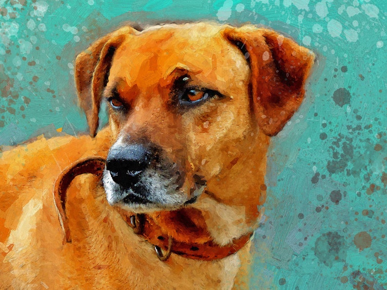 Digital custom dog portrait Dog remembrance gift Pet remembrance Custom cat portrait Personalized cat portrait Pet portrait from photo