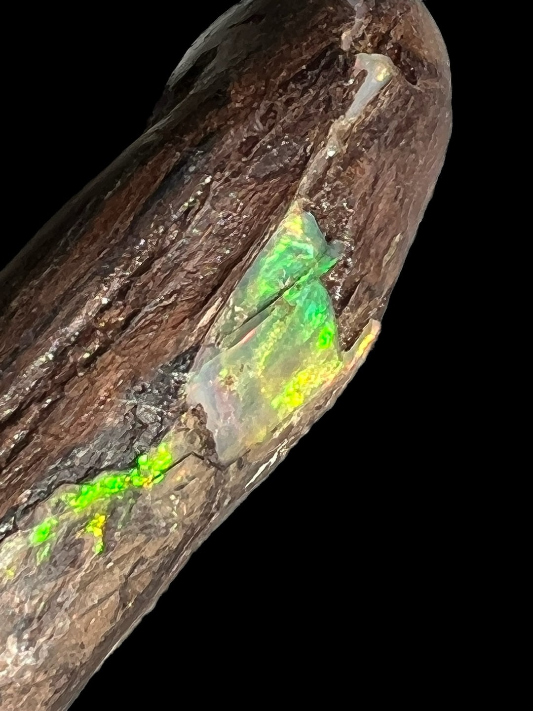 Large Petrified Wood and Precious Opal Etsy