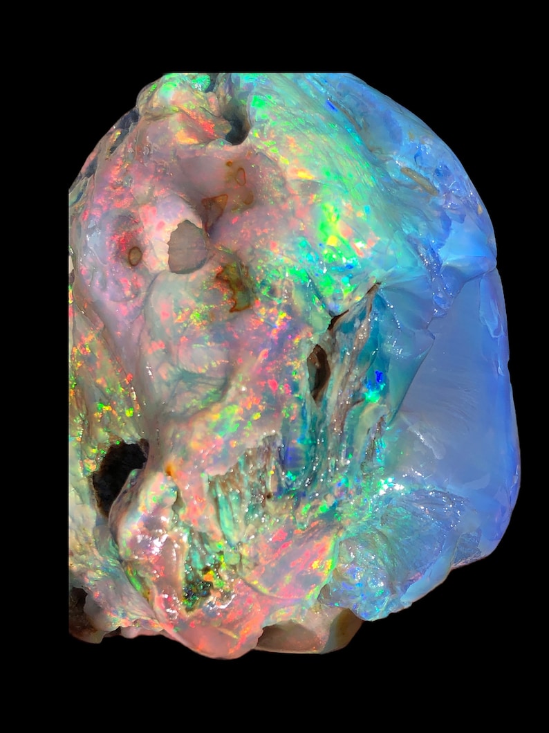 Magnificent World Class 2 Lb Virgin Valley Precious Opal Petrified Wood ...