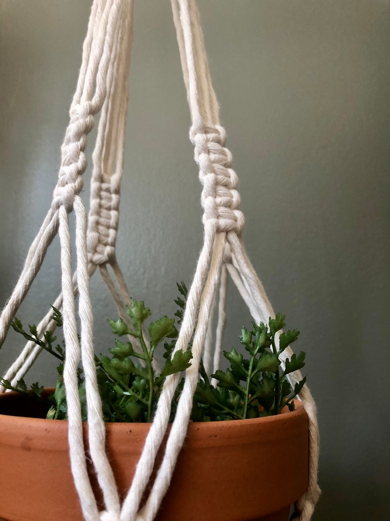 Macrame Plant Hanger
