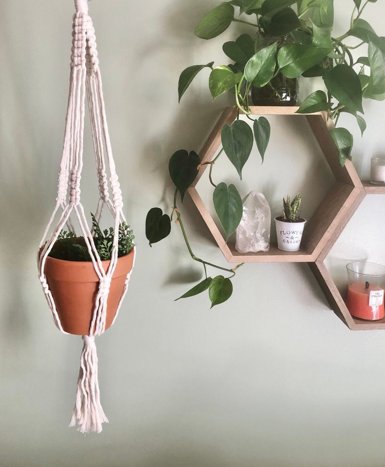 Macrame Plant Hanger