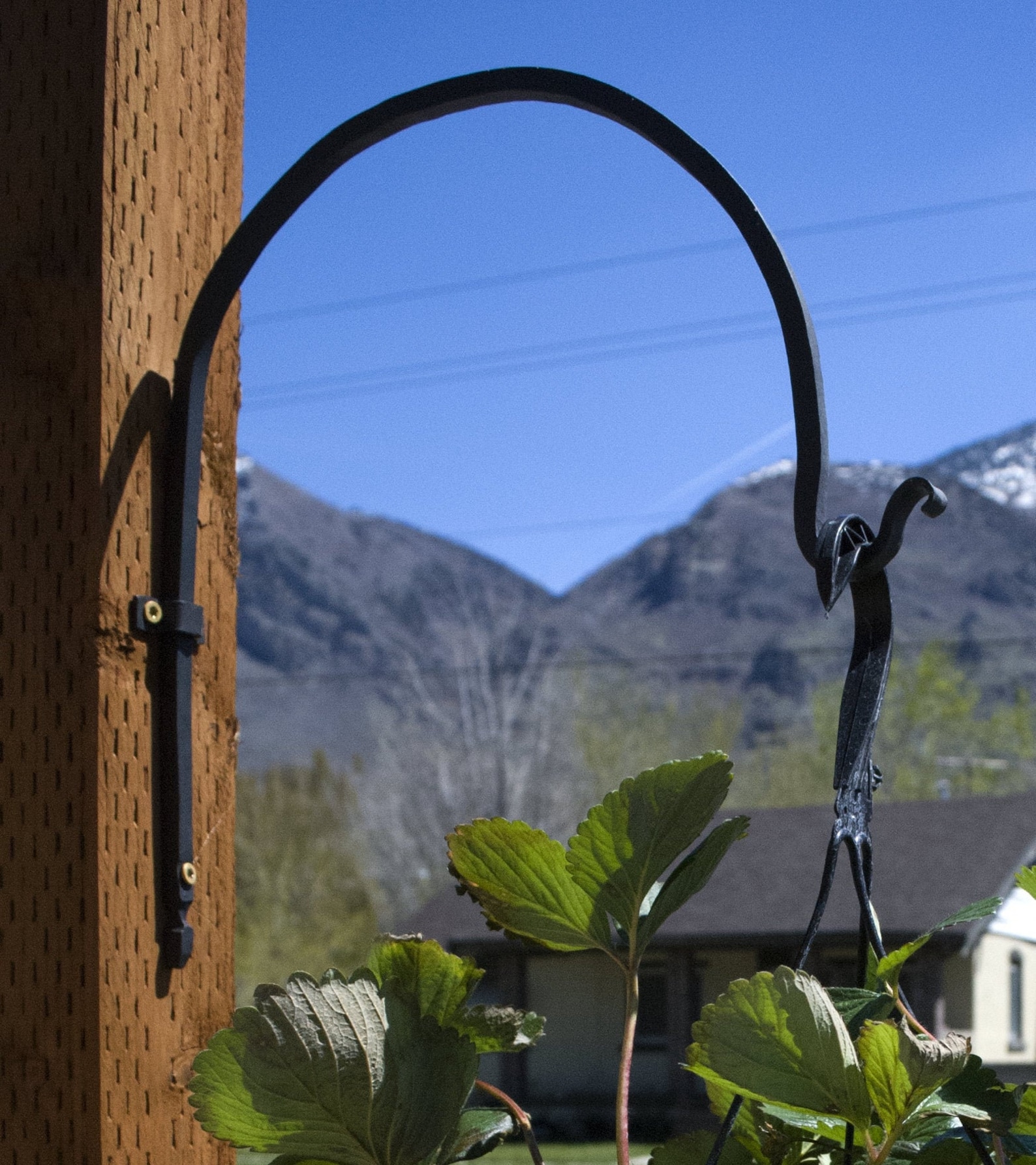 Wrought Iron Plant Hanger Hand Plant Hanger Etsy