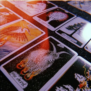tarot diario: una lectura de cartas