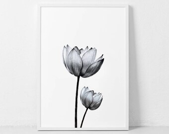 Black And White Lotus Art Etsy Black And White Lotus Art Etsy