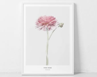 Pink Rose Print, Flower Wall Art, Pink Rose Wall Art, Rose Photography, Chic Print, Pink Decor, Trendy Wall Art, Botanical, Flower Wall Art
