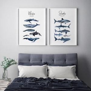 Puede incluir: Dos impresiones enmarcadas de ilustraciones de acuarela de ballenas y tiburones. La impresi&oacute;n de la izquierda presenta diferentes tipos de ballenas con el t&iacute;tulo "Whales Cetacea". La impresi&oacute;n de la derecha presenta diferentes tipos de tiburones con el t&iacute;tulo "Sharks Selachii".