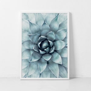 Agave Druck, Kaktus Druck, saftig Kunst, botanische Wandkunst, Agave Druck, Boho Wandkunst, Wüste Kunst, botanische Druck, saftig Poster