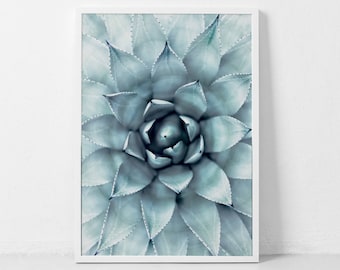 Agave Print, Cactus Print, Succulent Art, Botanical Wall Art, Agave Print, Bohemian Wall Art, Desert Art, Botanical Print, Succulent Poster