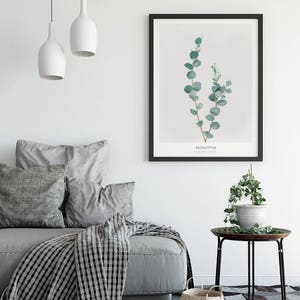 Pode incluir: Uma impress&atilde;o bot&acirc;nica emoldurada de folhas de eucalipto em tons de verde sobre um fundo branco. A impress&atilde;o tem o texto "Eucalyptus" e "Botanical Garden" abaixo da imagem.