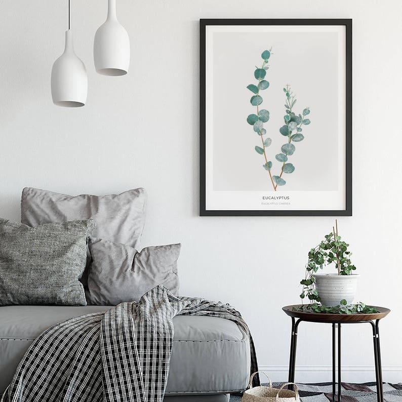 Pode incluir: Uma impress&atilde;o bot&acirc;nica emoldurada de folhas de eucalipto em tons de verde sobre um fundo branco. A impress&atilde;o tem o texto "Eucalyptus" e "Botanical Garden" abaixo da imagem.