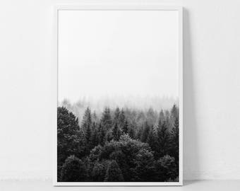 Forest Print, Forest Photography, Nature Prints, Black and White Forest, Forest Art, Woodland Prints, Nordic Wall Decor, Nature Photography.