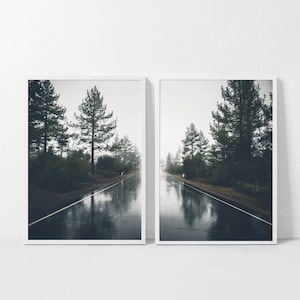 May include: Two framed photographs of a misty road through a forest. The road is wet from rain and reflects the trees and sky. The photos are in black and white.