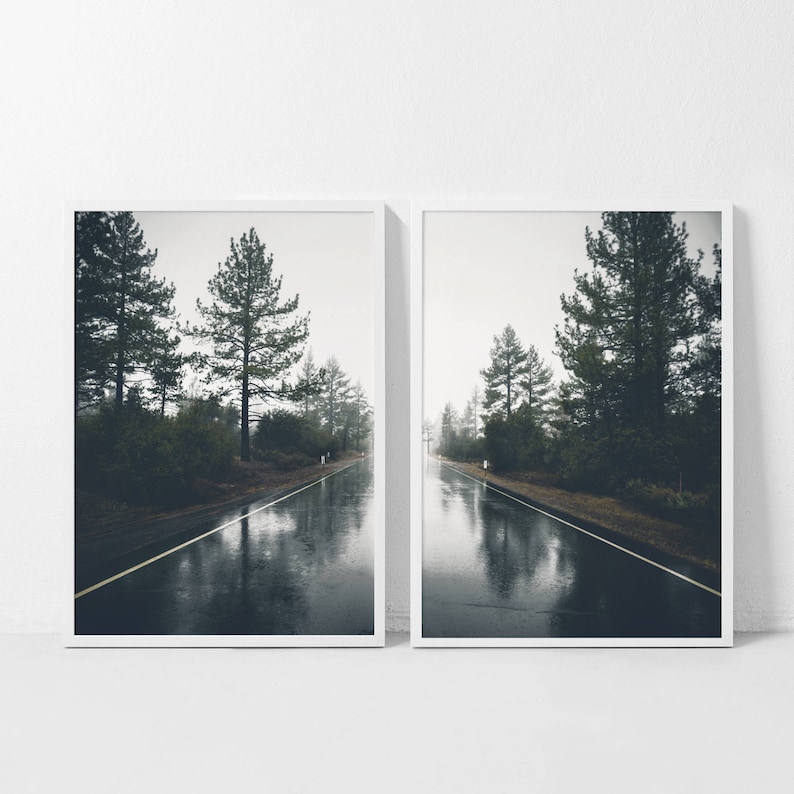 May include: Two framed photographs of a misty road through a forest. The road is wet from rain and reflects the trees and sky. The photos are in black and white.