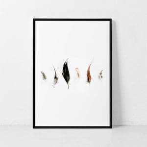 Feather Print, Feather Wall Art, Scandinavian Print, Modern Wall Art, Feather Photography, Living Room Decor, Affiche Scandinave, Minimalist
