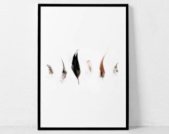 Feather Print, Feather Wall Art, Scandinavian Print, Modern Wall Art, Feather Photography, Living Room Decor, Affiche Scandinave, Minimalist