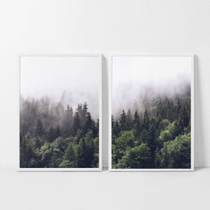 Forest Print, Forest Photography, Nature Prints, Forest Wall Art, Forest Art, Wilderness Poster, Woodland Prints, Modern, Set of 2 Printable