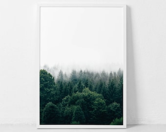May include: A photograph of a forest with fog rolling in over the trees. The trees are a deep green and the fog is a light white. The image is taken from a low angle, looking up at the trees.