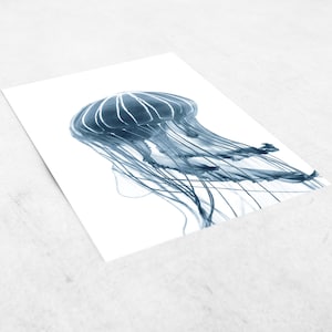 Jellfyfish Print, Blue Jellyfish Wall Art, Jellyfish Photography ...