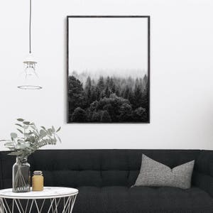 May include: Black and white photograph of a misty forest with tall trees. The image is framed in a black frame and hangs on a white wall.