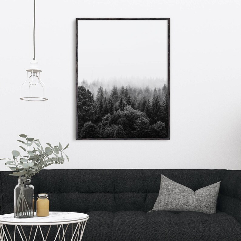May include: Black and white photograph of a misty forest with tall trees. The image is framed in a black frame and hangs on a white wall.