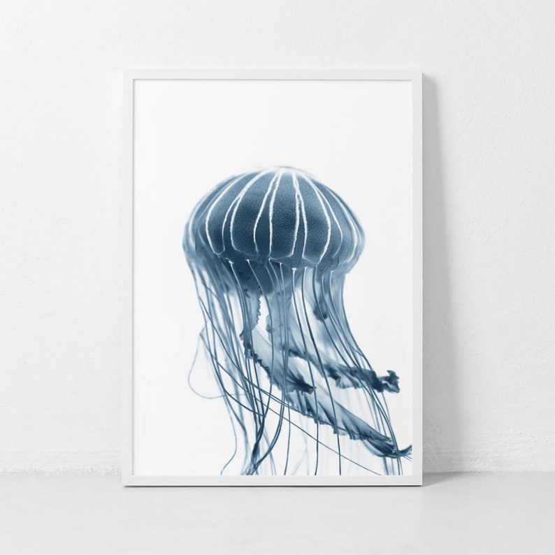Jellfyfish Print Blue Jellyfish Wall Art Jellyfish Etsy