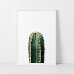 Kaktus Druck, Kaktus Wand Kunst Dekor, saftig Druck, Kaktus Poster, Kaktus bedruckbar, Kaktus modern Druck, Kaktus Fotografie Digitaldruck