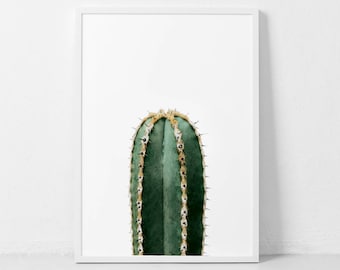 Cactus Print, Cactus Wall Art Decor, Succulent Print, Cactus Poster, Cactus Printable, Cactus Modern Print, Cactus Photography Digital Print