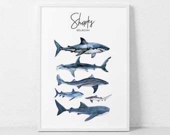 Shark Poster, Shark Printable, Shark Species Print, Watercolor Sharks, Shark Nursery Poster, Kids Room Decor, Boy Nursery Artwork, Selachii