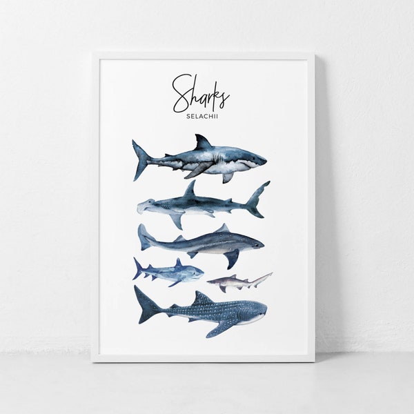 Shark Poster, Shark Printable, Shark Species Print, Watercolor Sharks, Shark Nursery Poster, Kids Room Decor, Boy Nursery Artwork, Selachii