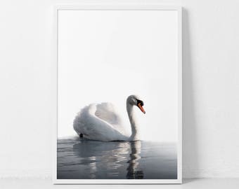 Impresión de cisne blanco, arte mural de cisne, guardería de cisnes, decoración del hogar con cisnes, arte mural de animales, fotografía de cisnes, arte mural escandinavo, arte mural para guardería