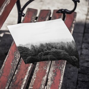 May include: A black and white photograph of a foggy forest scene printed on a white sheet of paper. The paper is lying on a weathered red wooden bench.