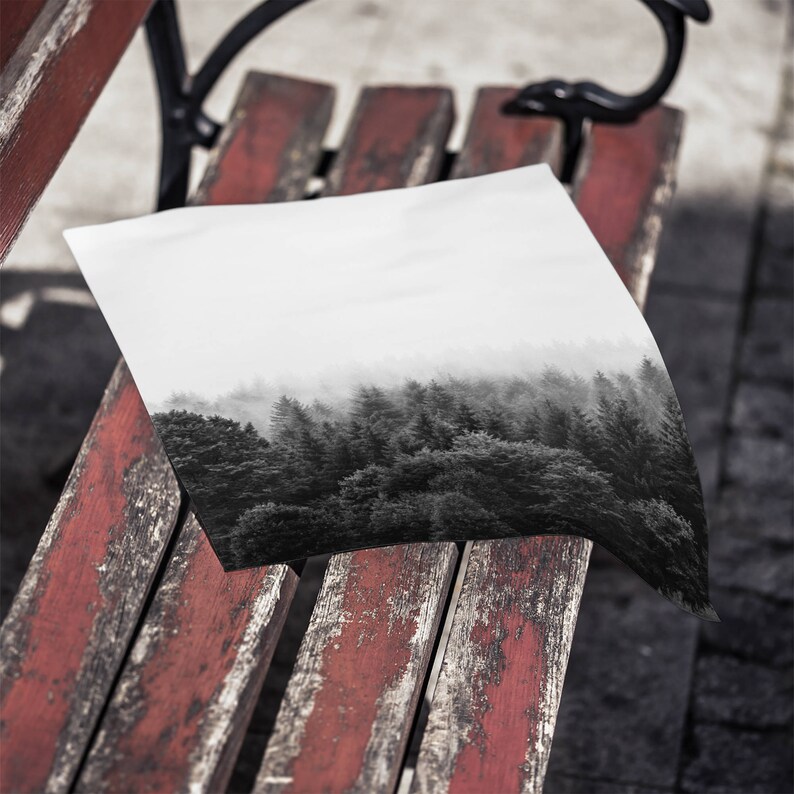 May include: A black and white photograph of a foggy forest scene printed on a white sheet of paper. The paper is lying on a weathered red wooden bench.