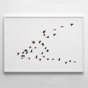Flying Bird Print, impresión escandinava, impresión minimalista de aves, fotografía de aves, bandada de pájaros impresión, arte de pared moderno, impresión de pato