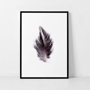 Feather Print, Feather Wall Art, Scandinavian Print, Modern Wall Art, Feather Photography, Living Room Decor, Affiche Scandinave, Minimalist