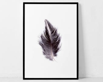 May include: A single black feather with a white shaft, isolated on a white background.