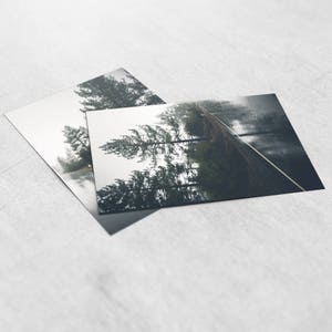 May include: A misty road winds through a forest of tall, dark green trees. The road is lined with a white line down the center. The trees are tall and slender, and the mist creates a sense of mystery and intrigue.