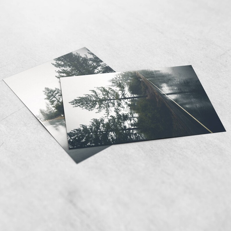 May include: A misty road winds through a forest of tall, dark green trees. The road is lined with a white line down the center. The trees are tall and slender, and the mist creates a sense of mystery and intrigue.