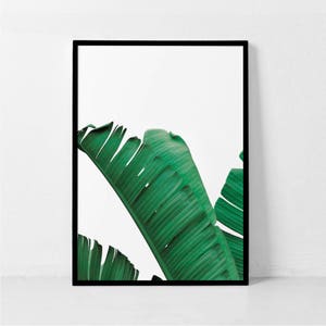 Banana Leaf Print, Stampa foglia, Banana Leaf Poster, Banana Leaf Art, Foglia di Palma, Stampa Botanica, Palm Print, Foglie di banana, Foglie di Palanca
