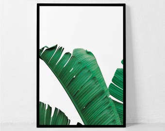 Banana Leaf Print, Leaf Print, Banana Leaf Poster, Banana Leaf Art, Palm Leaf, Botanical Print, Palm Print, Banana Leaves, Palm Leaves