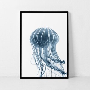 Jellfyfish Print, Blue Jellyfish Wall Art, Jellyfish Photography ...