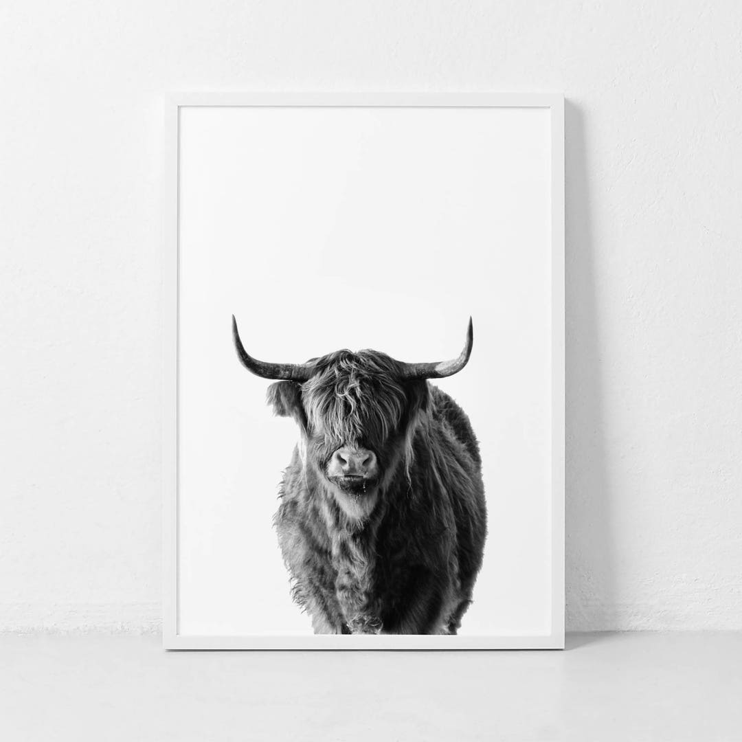 Highland Cow Print Farm Animal Wall Art Black and White Cow Etsy
