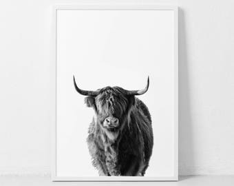 Highland Cow Print, Farm Animal Wall Art,  Black and White Cow Poster, Cattle Photography, Animal Portrait, Cow Closeup, Buffalo Print