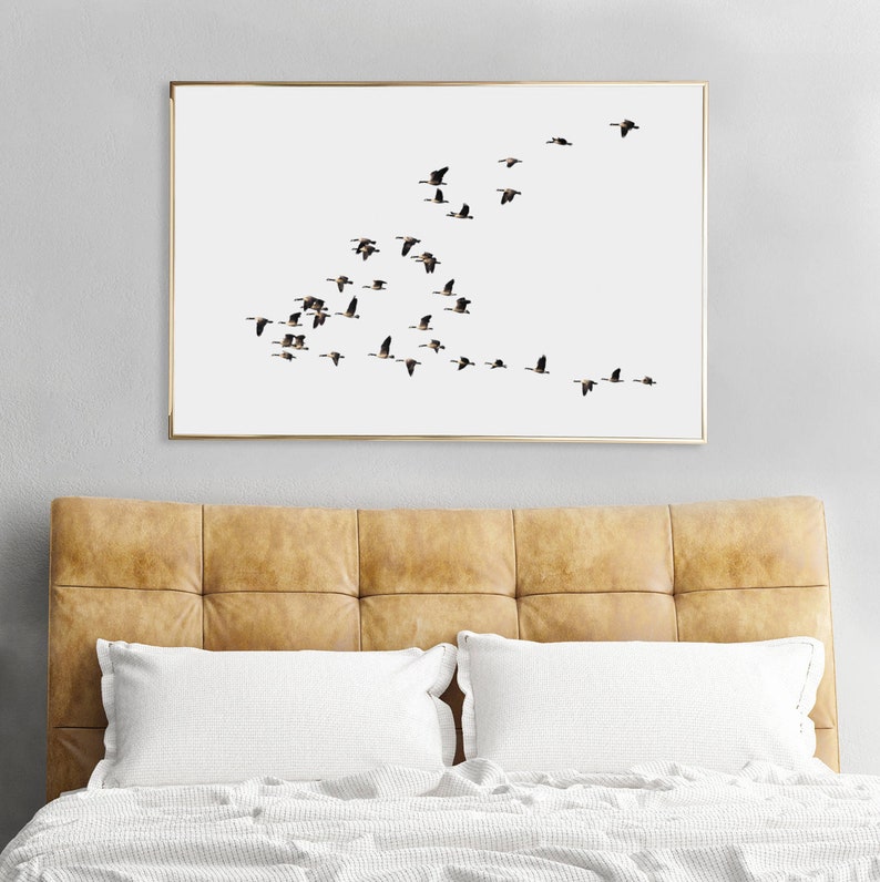 K&ouml;nnte beinhalten: Ein gerahmter Druck einer Vogelschar, die in Formation vor einem wei&szlig;en Hintergrund fliegt. Die V&ouml;gel sind alle in die gleiche Richtung ausgerichtet und fliegen in V-Form.