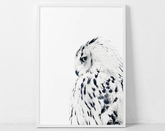 Weiße Eule, weiße Eule Druck, Tier Kunst, Eule, Instant Print Kunst, Eule Fotografie, minimal Print, weiße Eule Poster, skandinavischen Innenraum