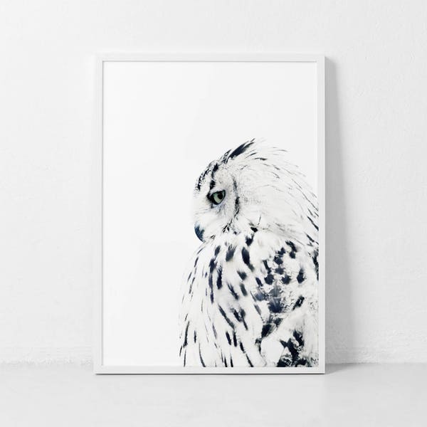 White Owl, White Owl Print, Animal Art, Owl, Instant Print Art, Owl Photography, Minimal Print, White Owl Poster, Scandinavian Interior