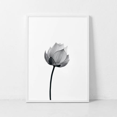Flower Wall Art Floral Print Black and White Floral Art Etsy