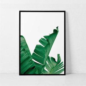 Banana Leaf Print, Stampa foglia, Banana Leaf Poster, Banana Leaf Art, Foglia di Palma, Stampa Botanica, Palm Print, Foglie di banana, Foglie di Palanca