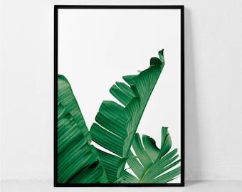 Banana Leaf Print, Leaf Print, Banana Leaf Poster, Banana Leaf Art, Palm Leaf, Botanical Print, Palm Print, Banana Leaves, Palm Leaves